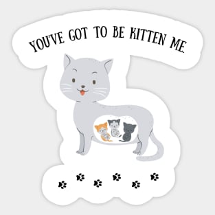 You've got to be kitten me Sticker